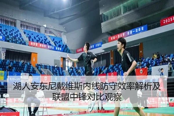 湖人安东尼戴维斯内线防守效率解析及联盟中锋对比观察
