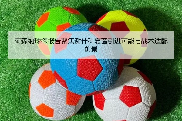 阿森纳球探报告聚焦谢什科夏窗引进可能与战术适配前景