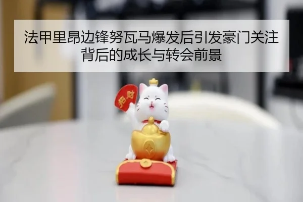 法甲里昂边锋努瓦马爆发后引发豪门关注背后的成长与转会前景