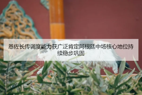 恩佐长传调度能力获广泛肯定阿根廷中场核心地位持续稳步巩固
